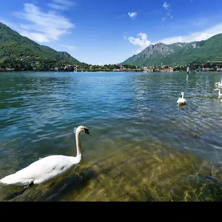 My * Lecco