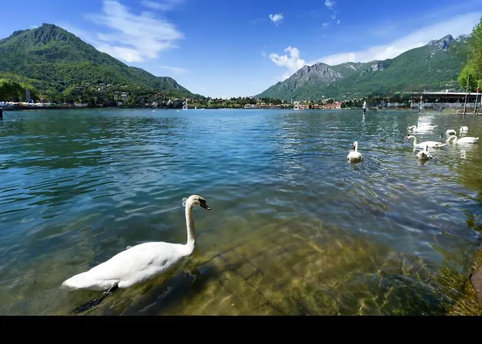 My * Lecco